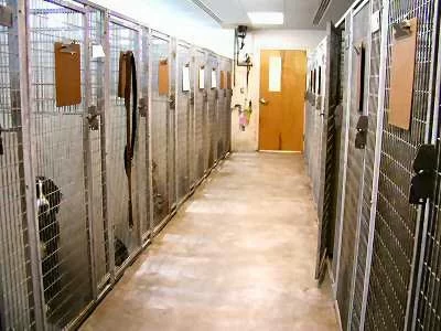 Bayshore Veterinary Clinic 12