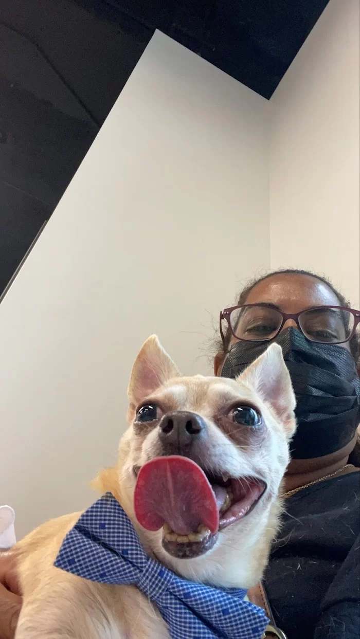 Bayshore Veterinary Clinic 12