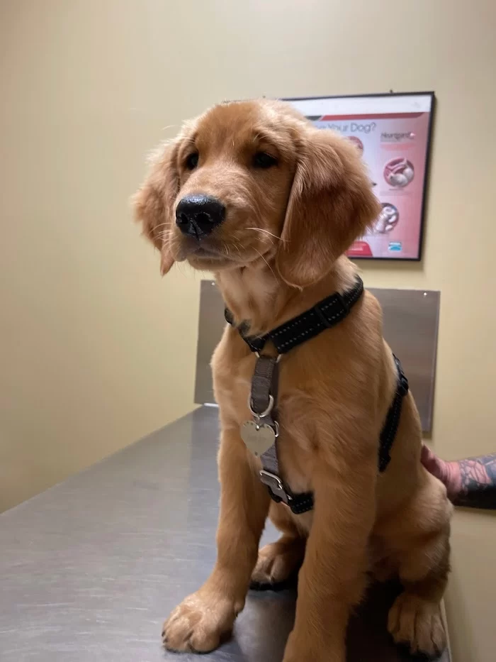 Bayshore Veterinary Clinic 12