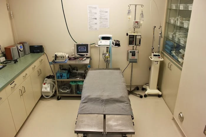 Bayshore Veterinary Clinic 12