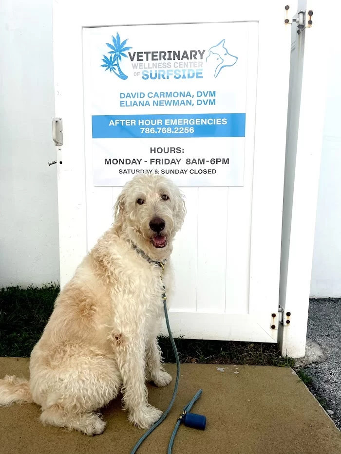 Veterinary Wellness Center of Surfside 12