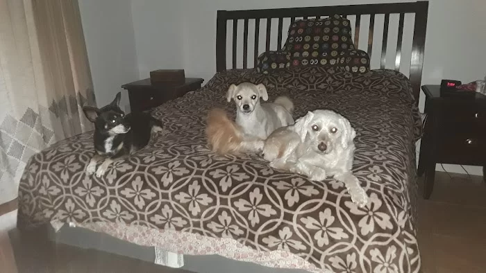 Veterinary Wellness Center of Surfside 12