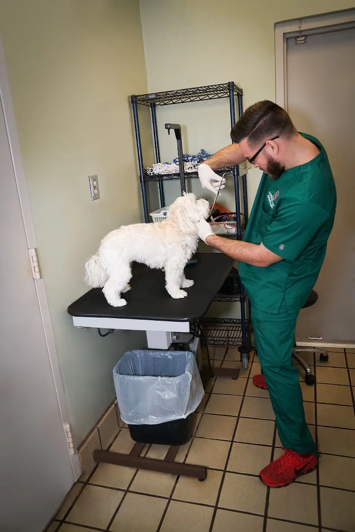 Country Club Animal Hospital 12