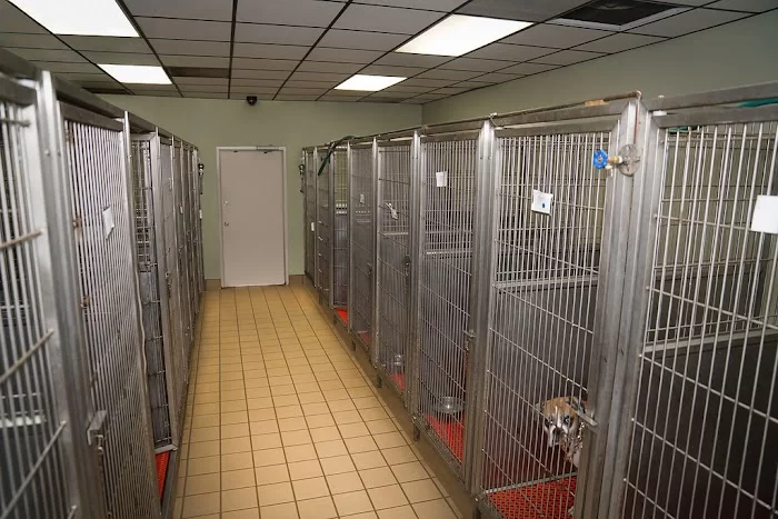 Country Club Animal Hospital 12