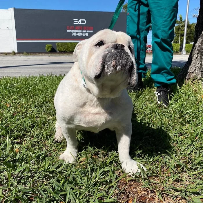 Country Club Animal Hospital 12