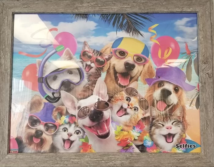 Avenue Animal Clinic 1