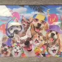 Avenue Animal Clinic ico