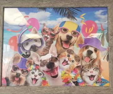 Avenue Animal Clinic