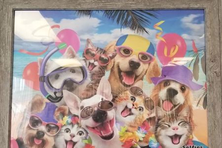 Avenue Animal Clinic