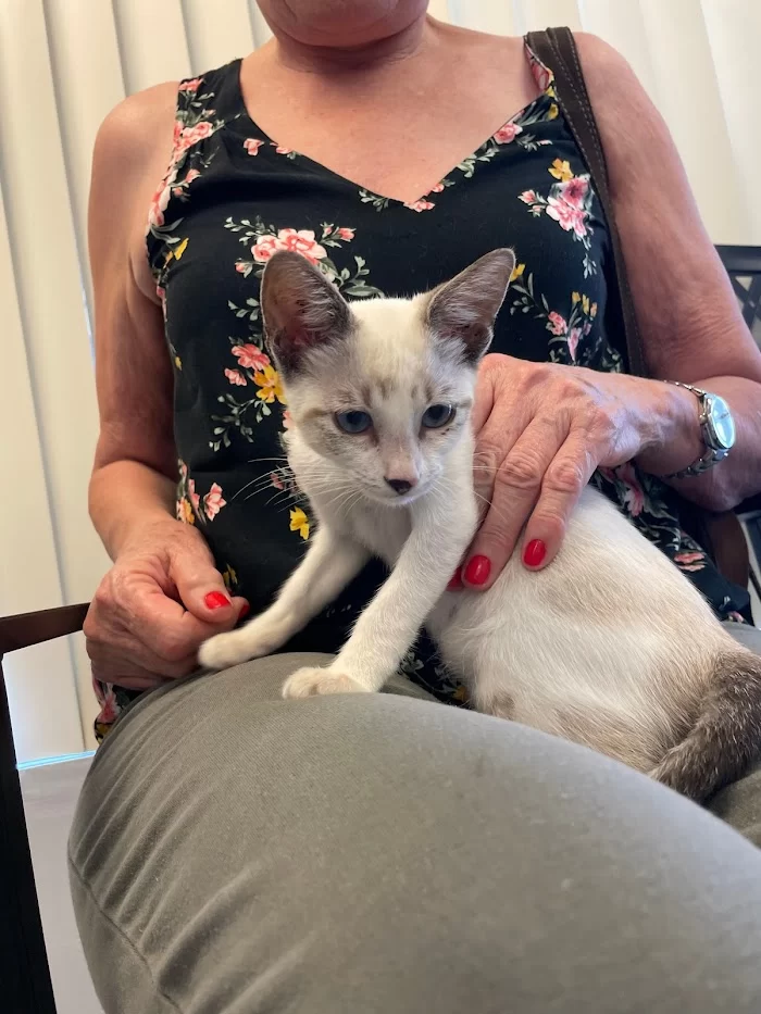 Avenue Animal Clinic 6