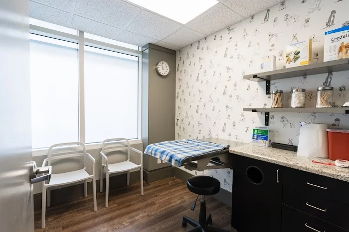Wags Animal Hospital 12