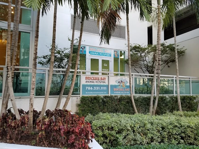 Brickell Bay Animal Hospital 12