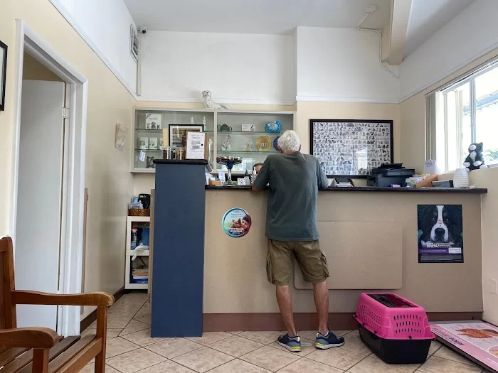 South Miami Animal Clinic 5