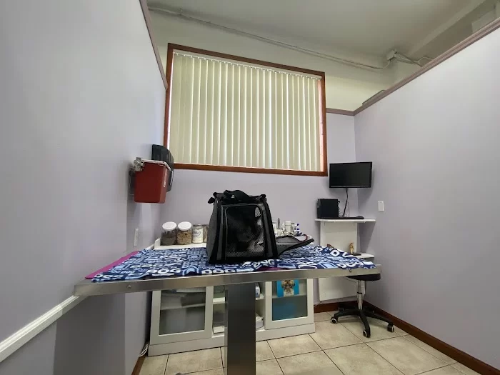 South Miami Animal Clinic 2