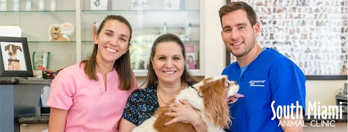 South Miami Animal Clinic 1