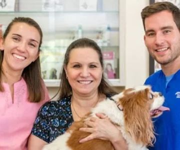 South Miami Animal Clinic