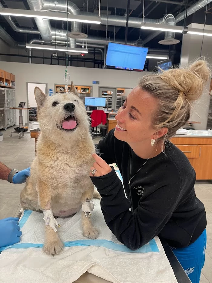 Veterinary Emergency Group 12