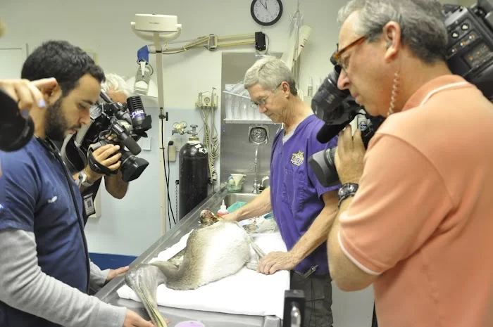 Avian & Exotic Animal Medical Center 2
