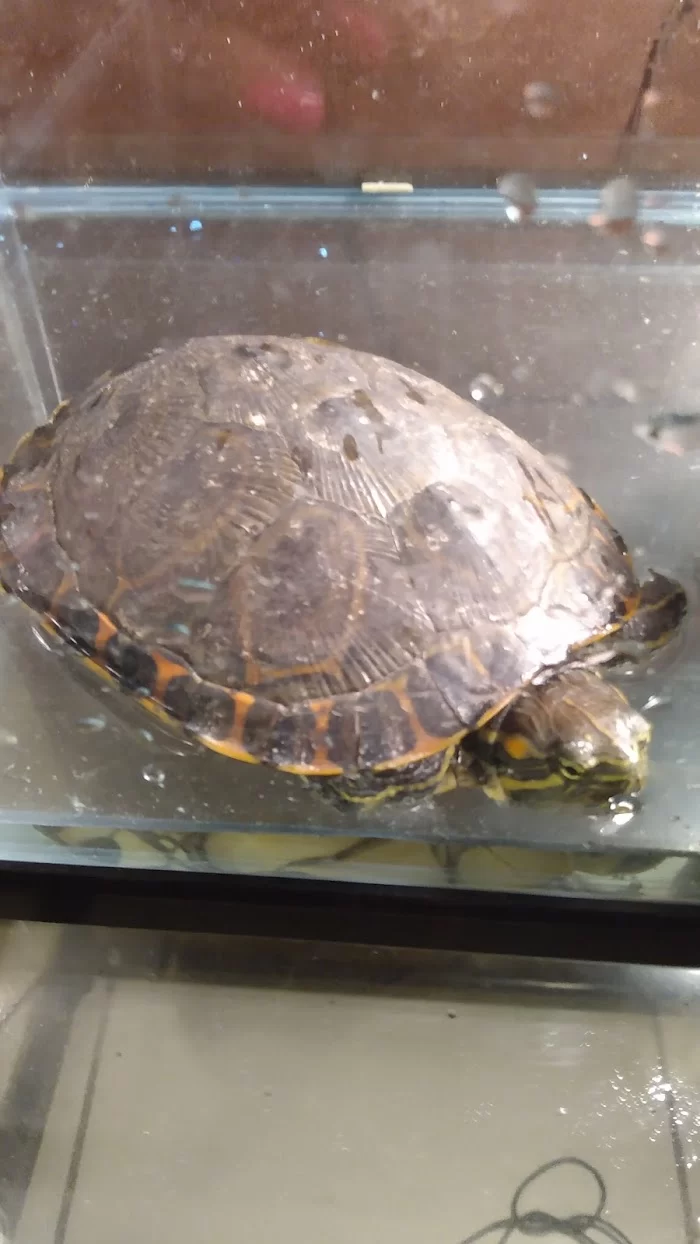 Avian & Exotic Animal Medical Center 8