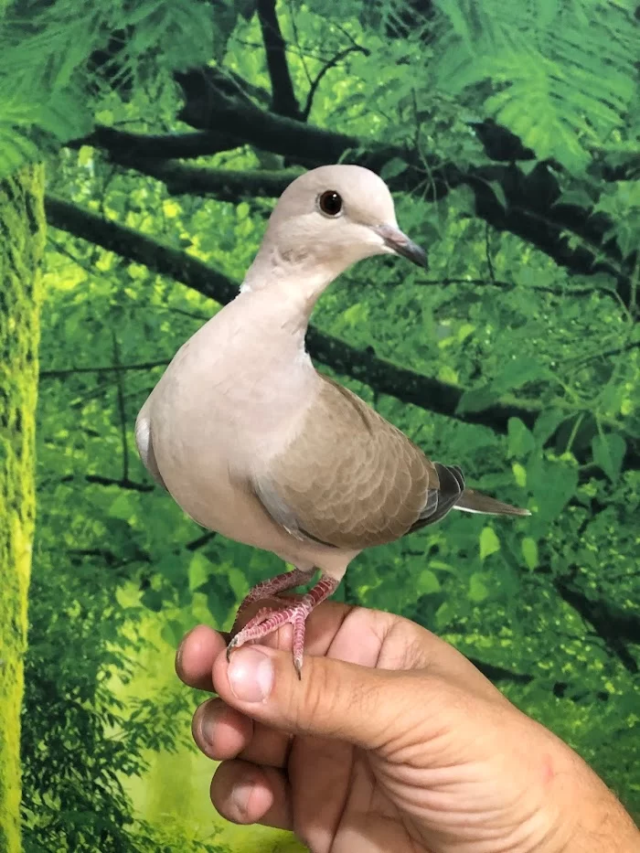 Avian & Exotic Animal Medical Center 7