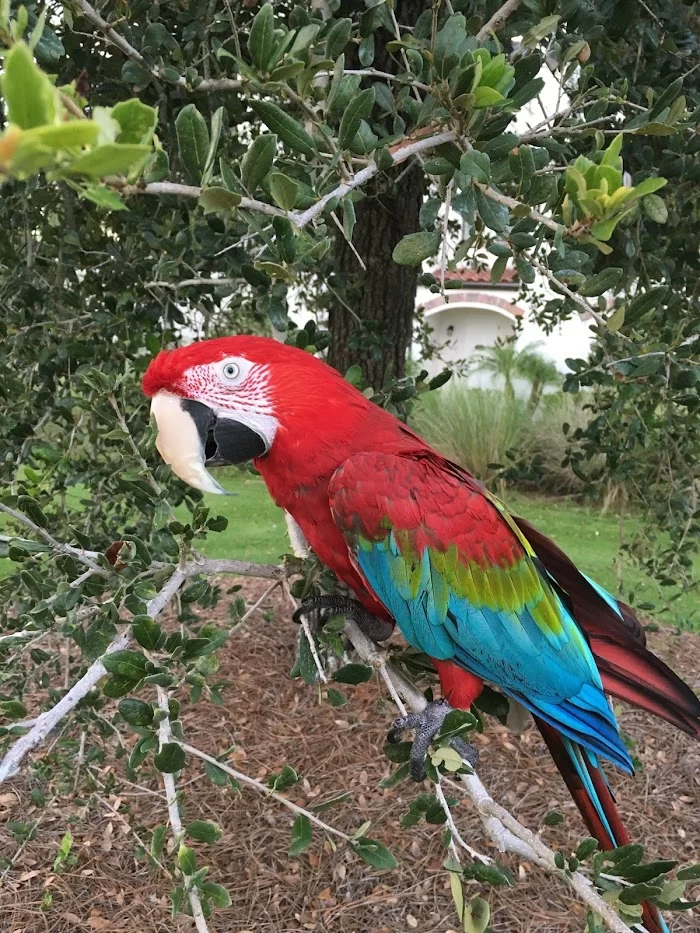 Avian & Exotic Animal Medical Center 9