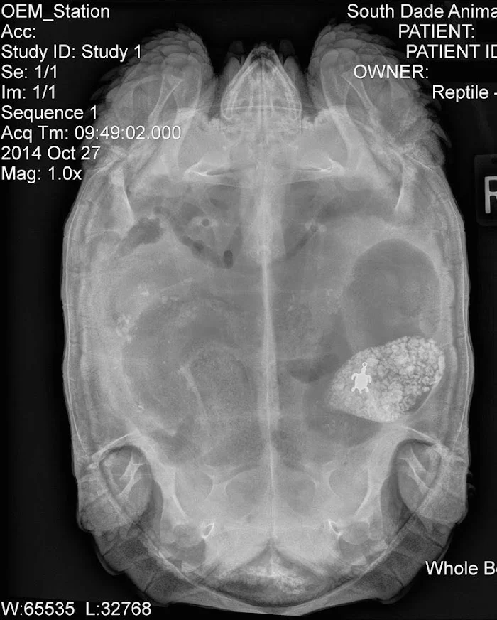 Avian & Exotic Animal Medical Center 5