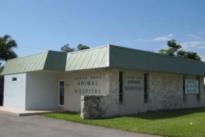 Avian & Exotic Animal Medical Center