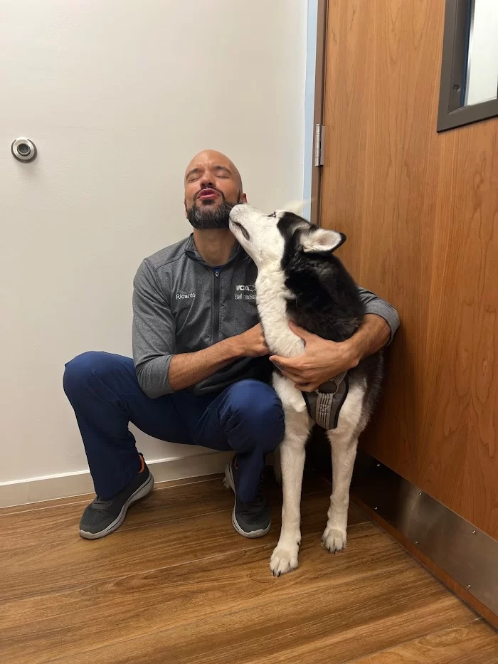 VCA Brickell Animal Hospital 12