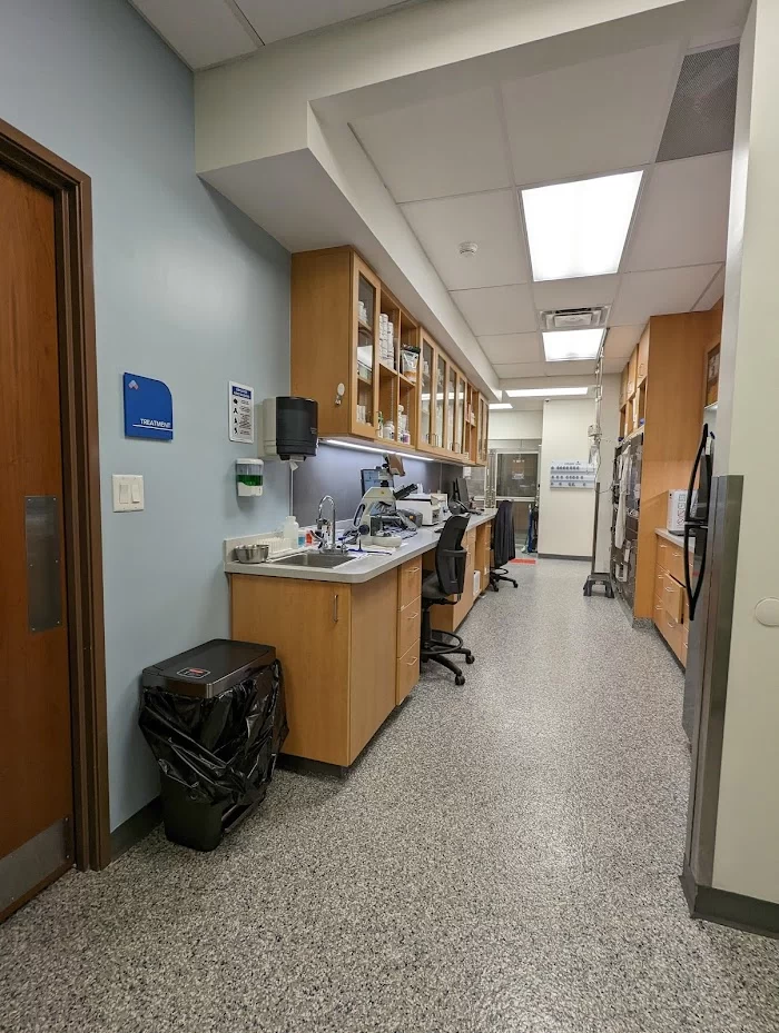 VCA Brickell Animal Hospital 12