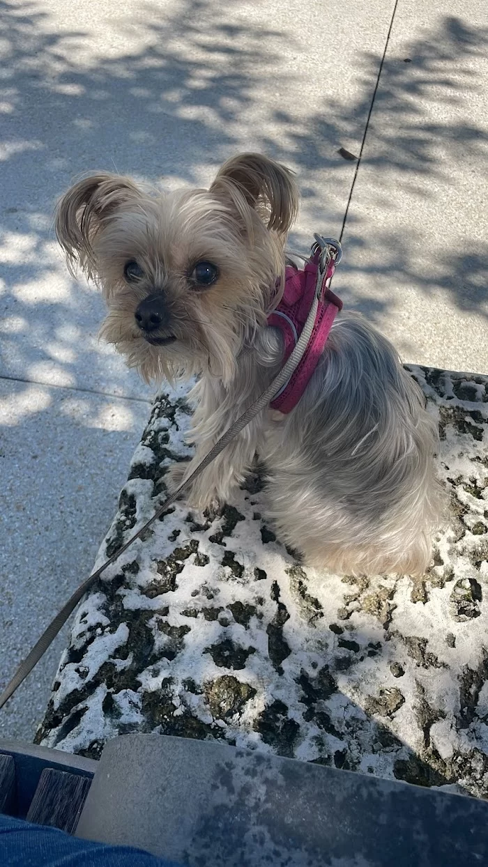 Helpet Veterinary Center 12