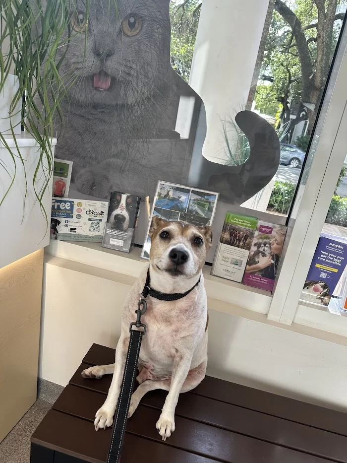 Helpet Veterinary Center 12