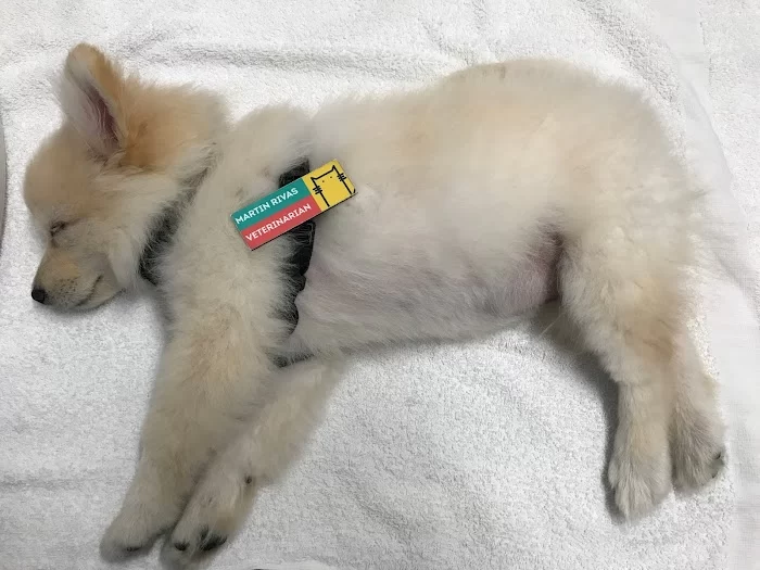 Helpet Veterinary Center 12