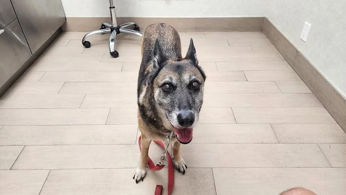 Animal Health & Rehab Center (AUSTIN DANIELS ANIMAL HOSPITAL) 12