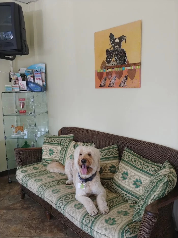 Greenleaf Animal Hospital 5