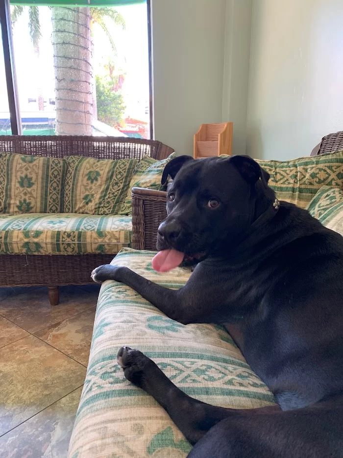 Greenleaf Animal Hospital 8