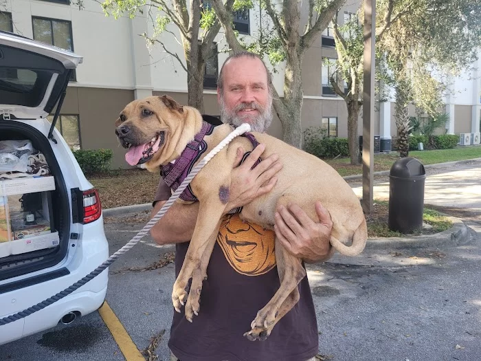 Biscayne Animal Hospital 5