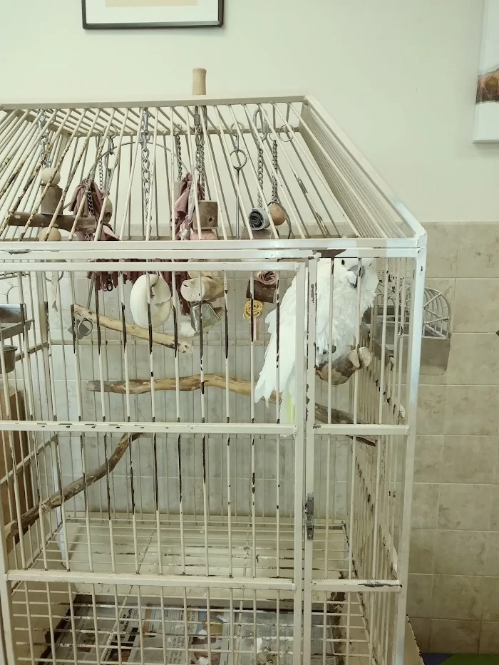 Biscayne Animal Hospital 9