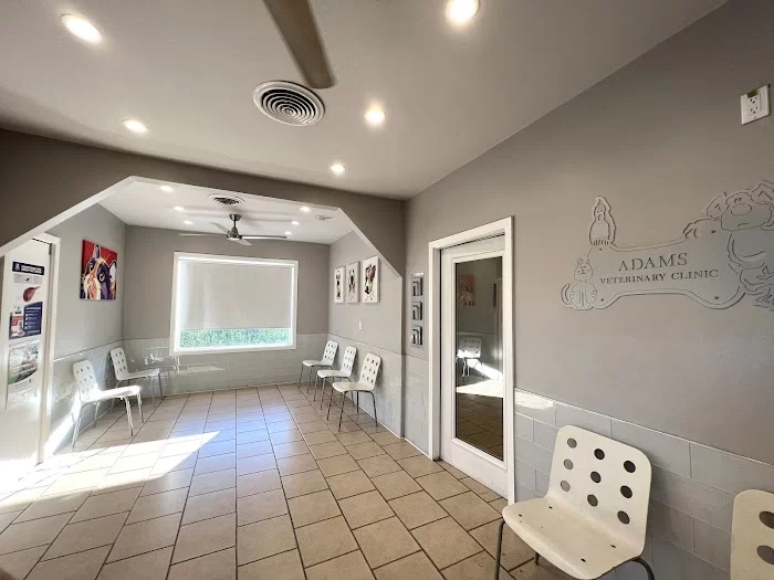 Adams Veterinary Clinic 12