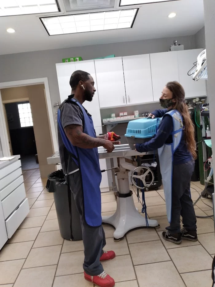 Adams Veterinary Clinic 12