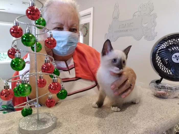 Adams Veterinary Clinic 12