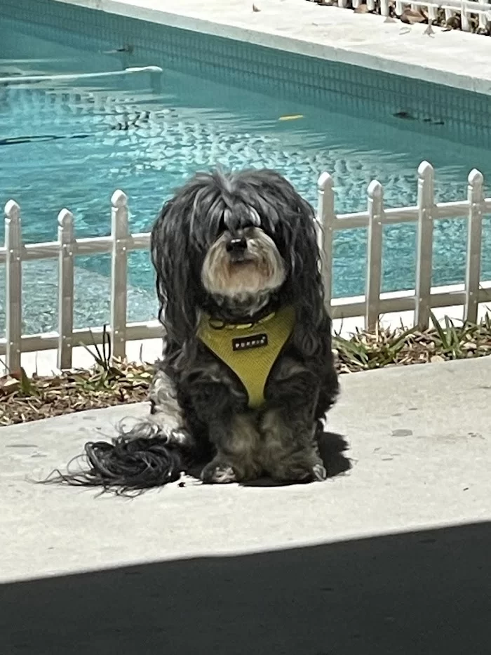 Biscayne Vet Center 12