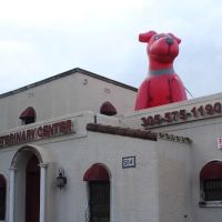Biscayne Vet Center ico