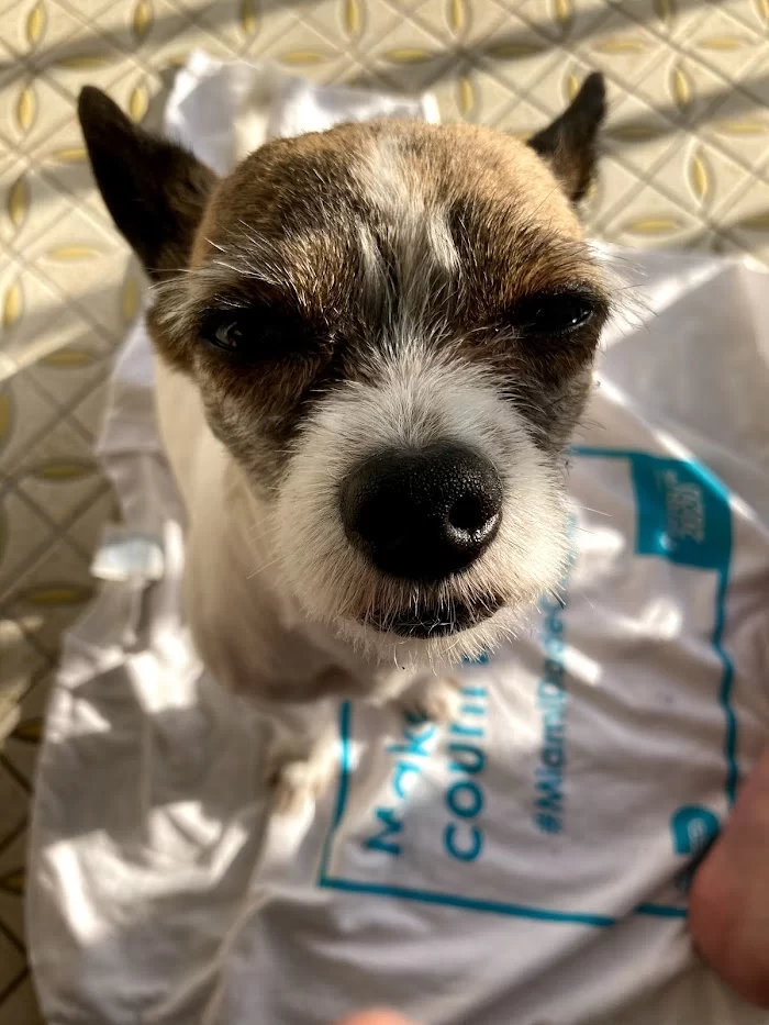 Biscayne Vet Center 12