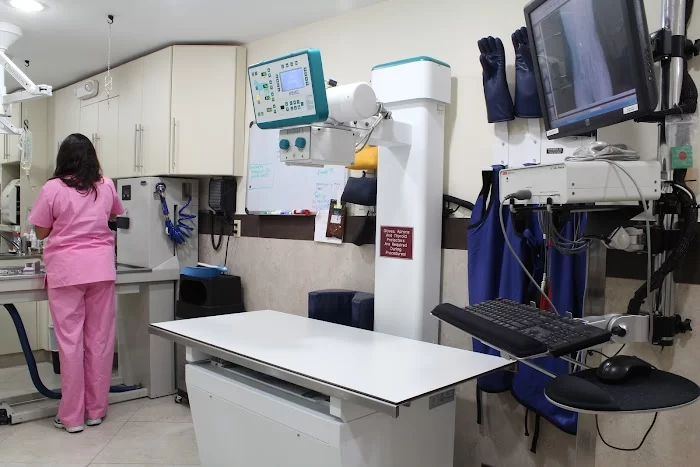 Biscayne Vet Center 12