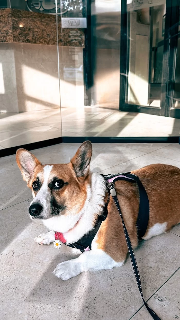Biscayne Vet Center 12