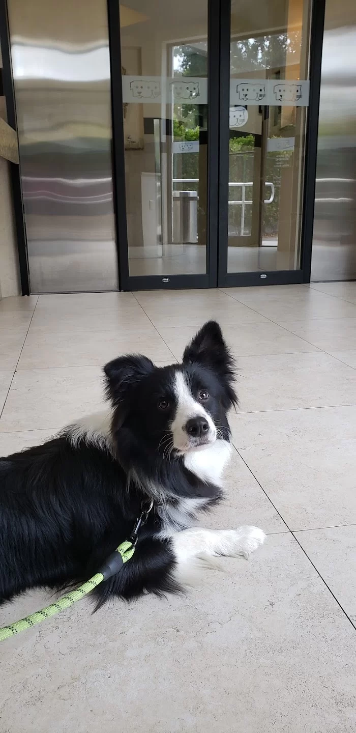 Biscayne Vet Center 12
