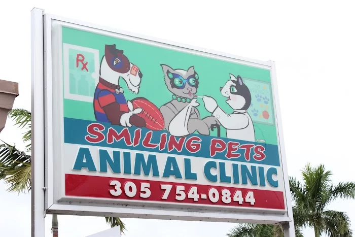 Pets and Vets Animal Clinic 12