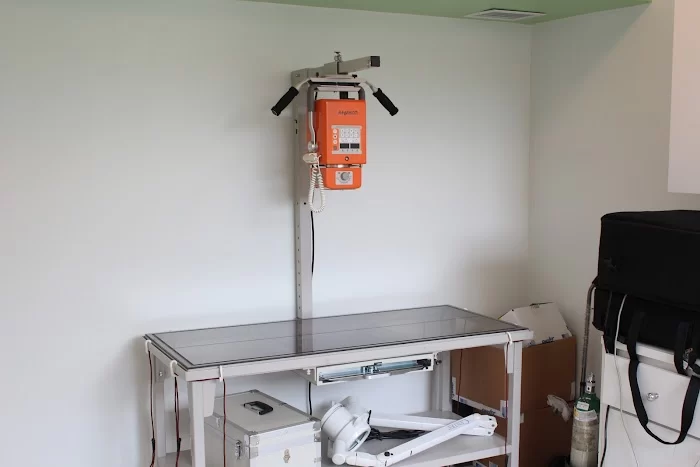 Pets and Vets Animal Clinic 12