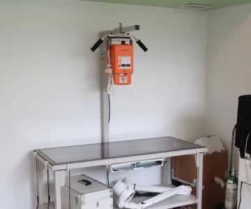Pets and Vets Animal Clinic