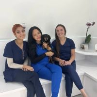 Miami Shores Animal Clinic ico